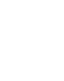 ARA Aerial Response