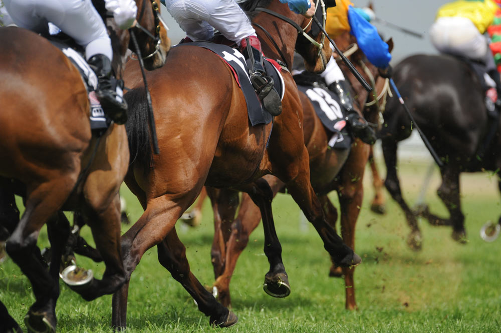 exclusive Melbourne Cup Carnival experience 